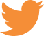 twitter_icon
